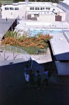 The pool at Los Gatos High, 1984