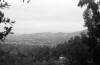 More Los Gatos in 1984