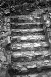 Old stone steps, Los Gatos, 1984