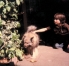 Mike with my dog Button, Los Gatos circa 1981