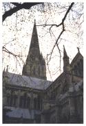 The courtyard at Salisbury, 2000